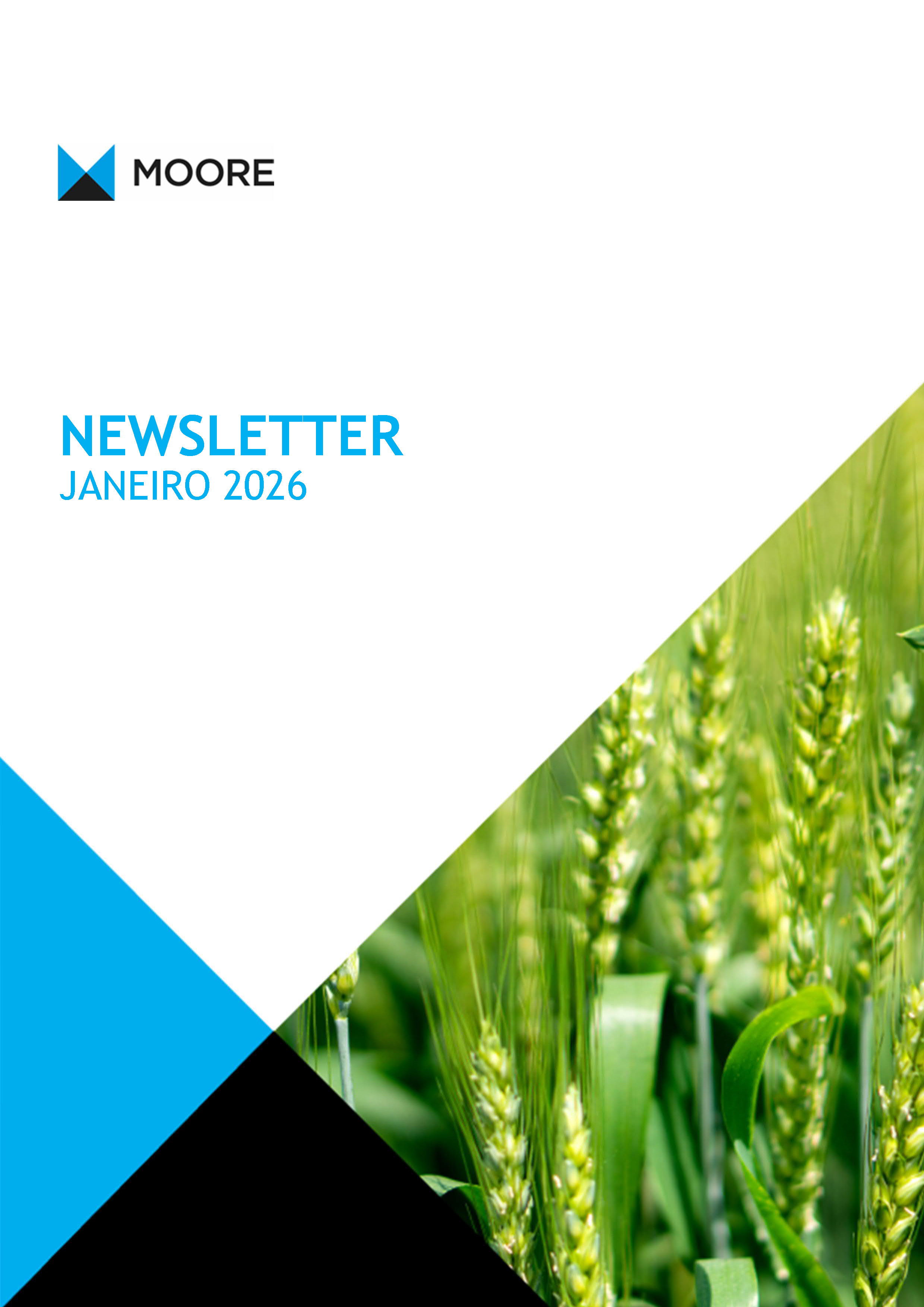 Tax Newsletter Janeiro/January 2026